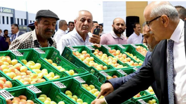 Kayısı bahçelerinden medeniyetin beşiğine