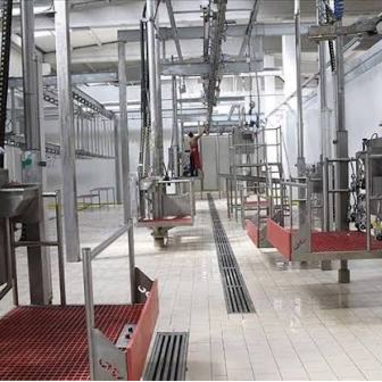Kesimhanelere kamera zorunluluğu