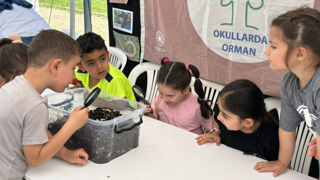 267 okulda "Orman Bayrağı" dalgalanacak
