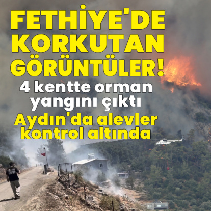 4 kentte orman yangını!