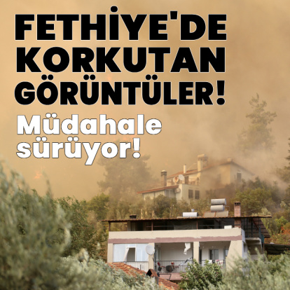 4 kentte orman yangını!