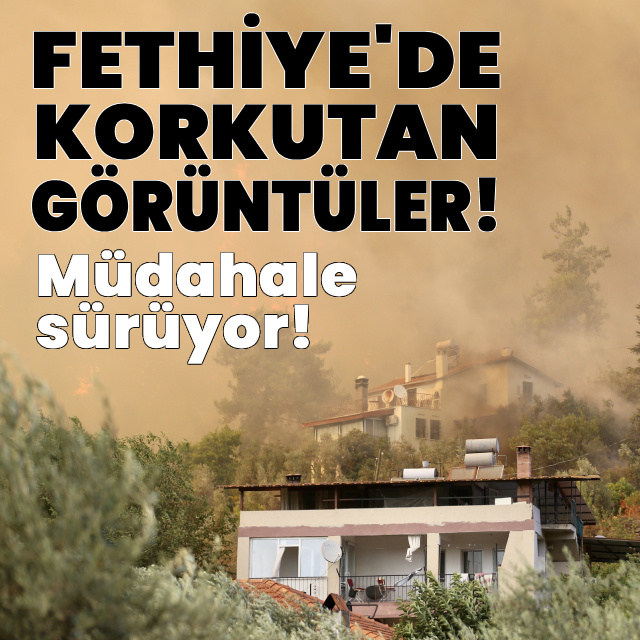 Fethiye'deki orman yangınında korkutan görüntüler!