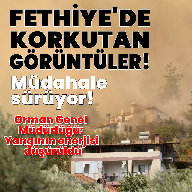 Fethiye'deki orman yangınında korkutan görüntüler!