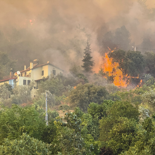 Fethiye'deki orman yangını kontrol altına alındı