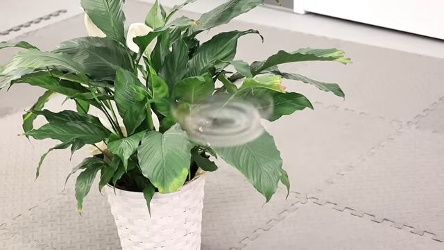 Gözleri aldatan drone görünmez oluyor