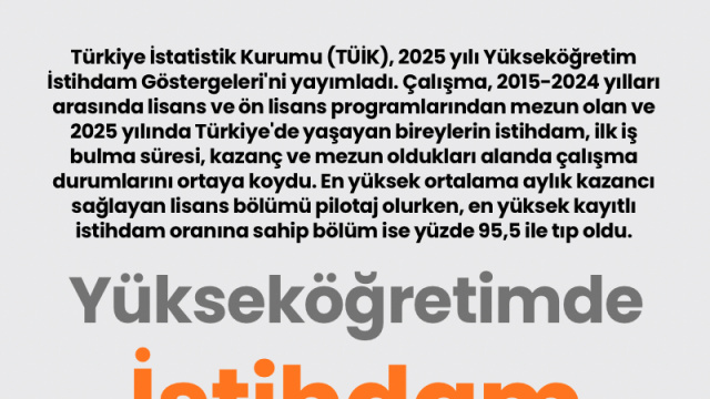 Yükseköğretimde istihdam
