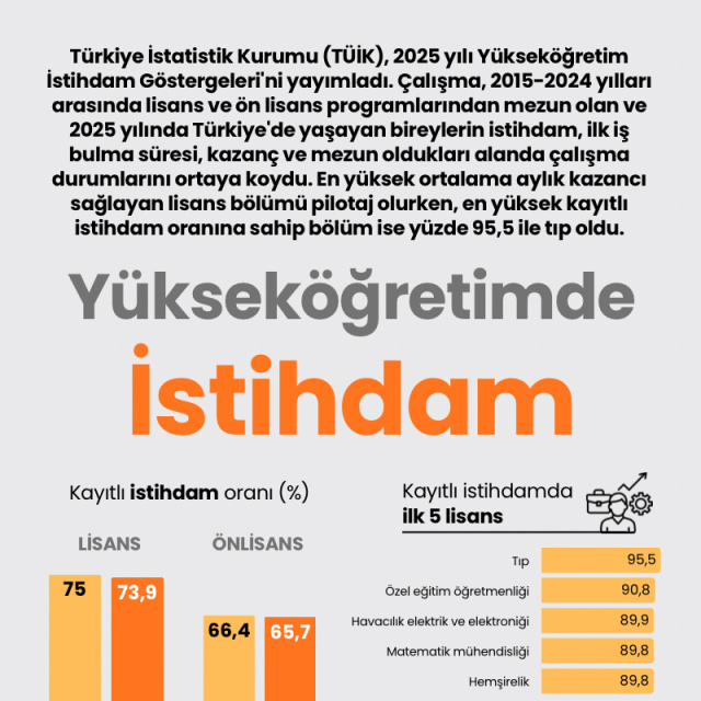 Yükseköğretimde istihdam