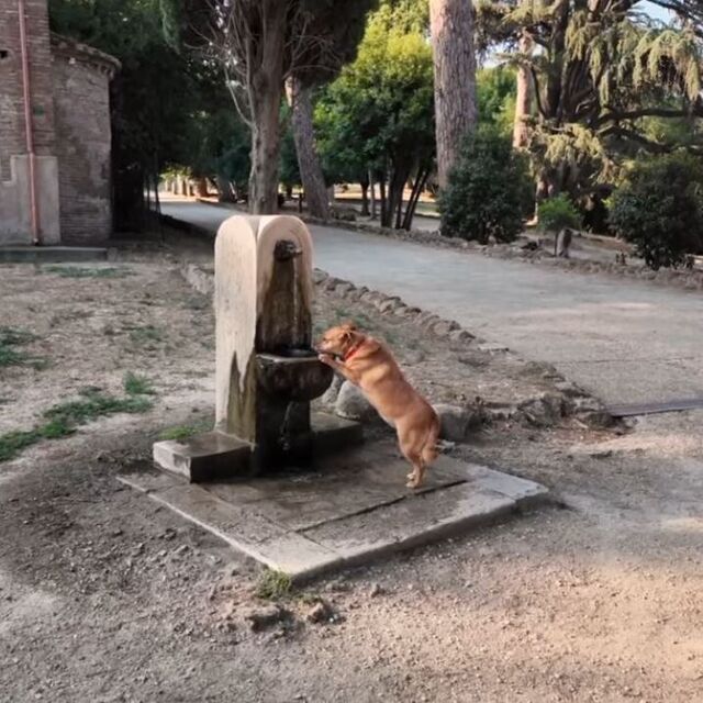 150 yıldır ücretsiz su akıyor
