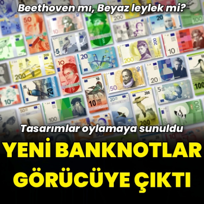 ECB yeni banknotlar için oylama başlattı