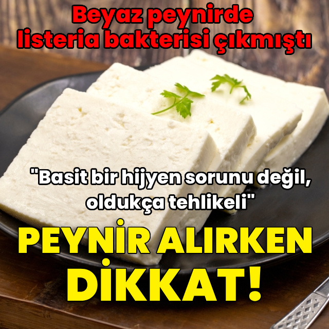 Listeria bakterisi alarmı! Peynir alırken dikkat!