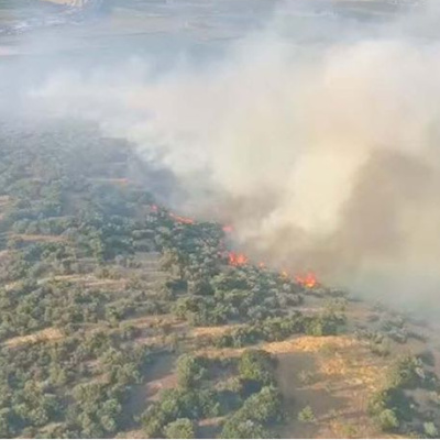 İzmir Torbalı'da orman yangını