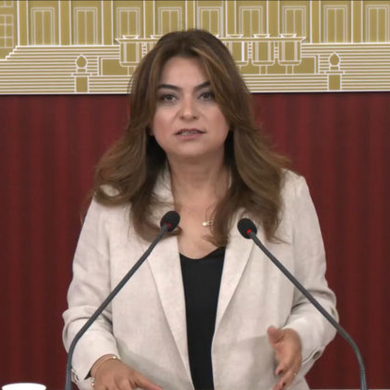 DEM Parti'den çerçeve yasa açıklaması haber görseli