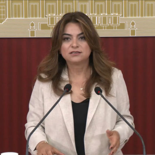 DEM Parti'den çerçeve yasa açıklaması
