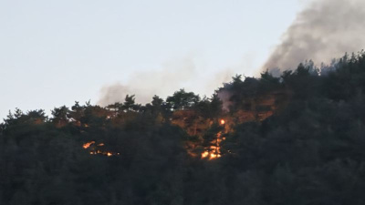 Adana'da orman yangını