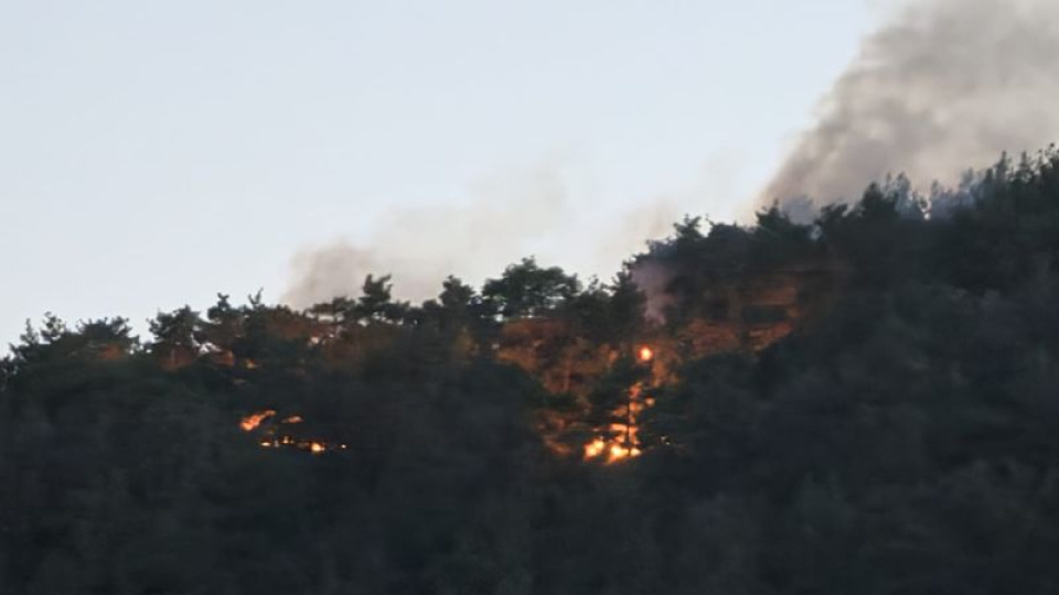 Adana'da orman yangını
