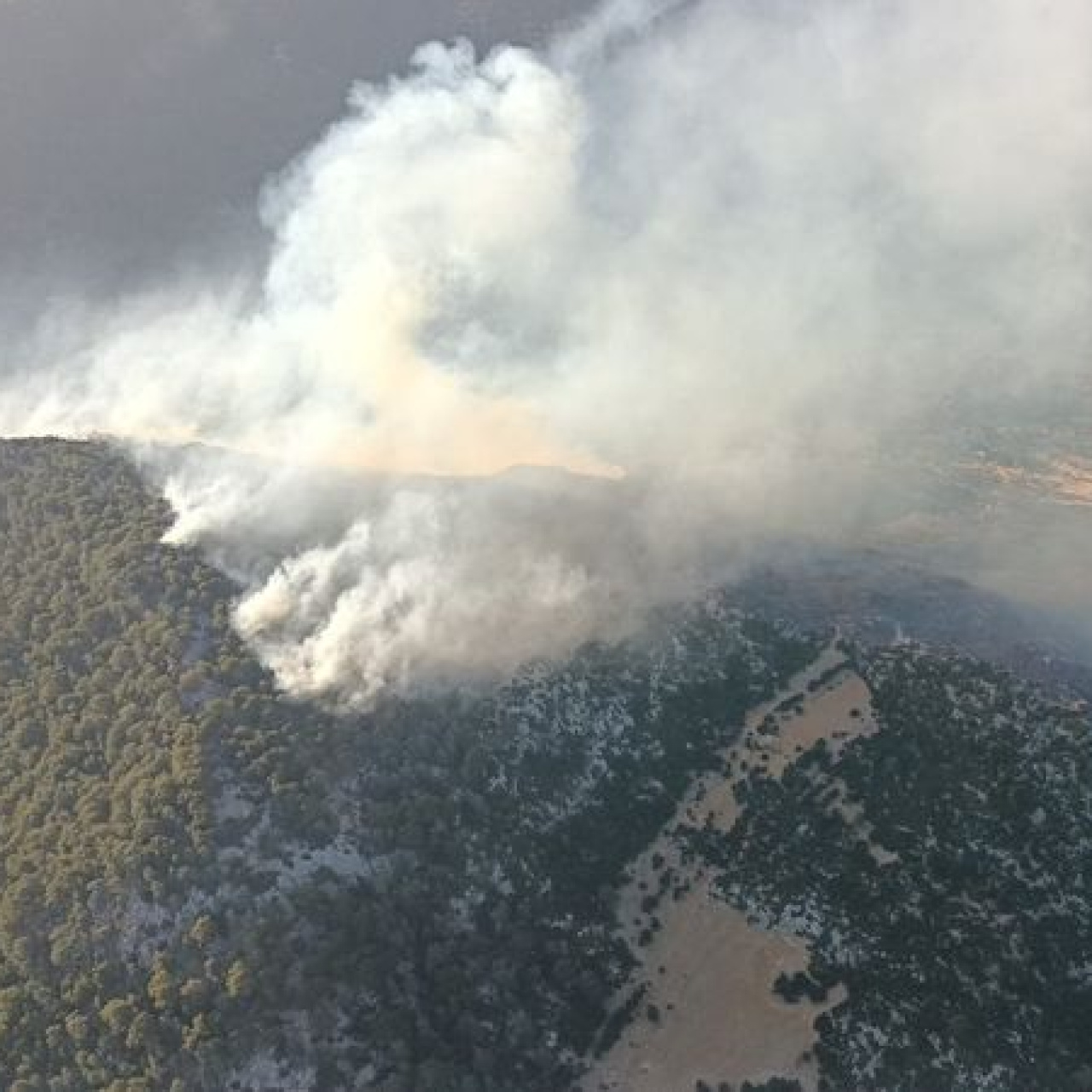 Kaş'ta Ormanların Ateş Çemberi: Kontrol Önceliği