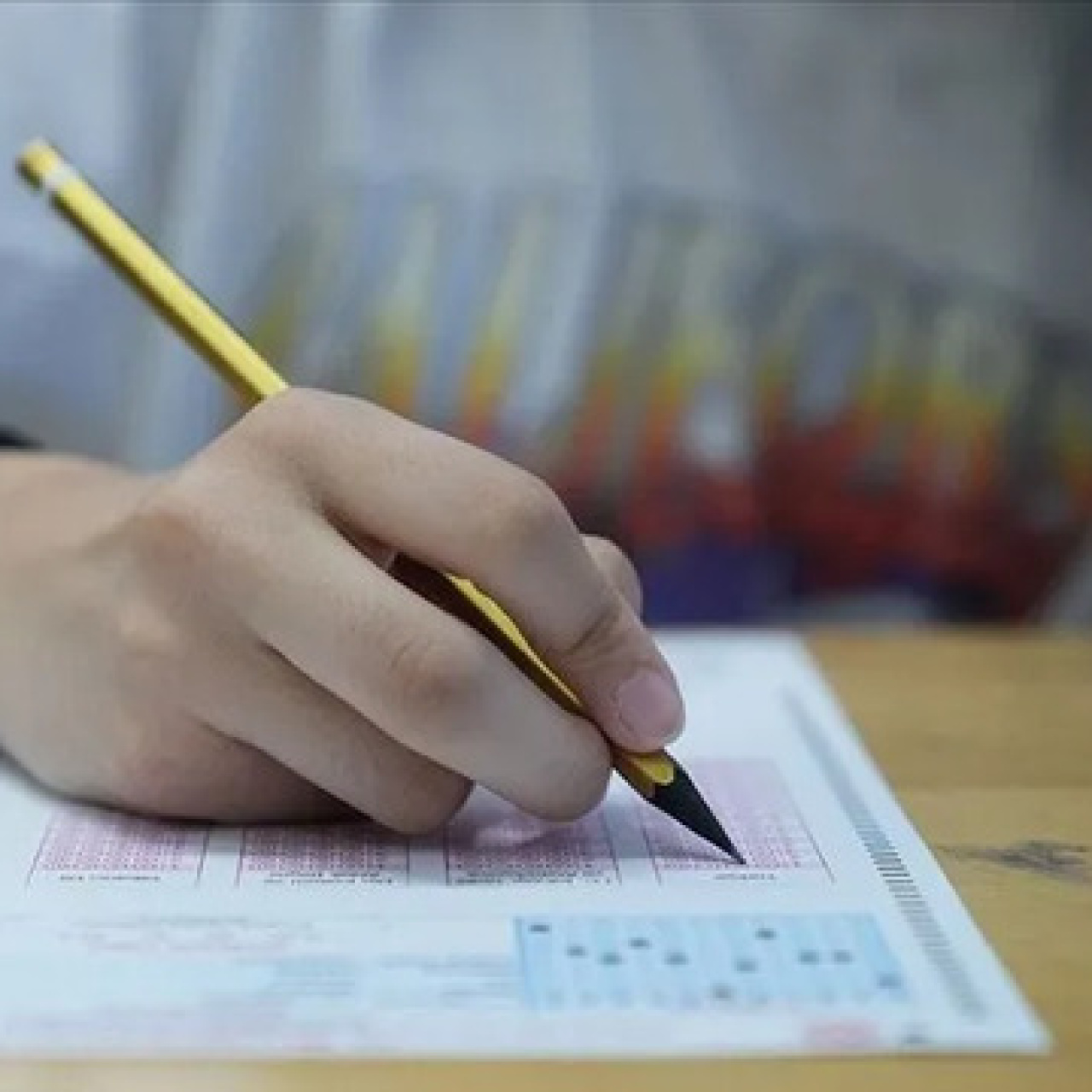 Düşük puanlı üniversite bölümleri
