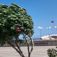 Sağanak yağmur ve fırtına uyarısı! Sıcaklıklar düşüyor
