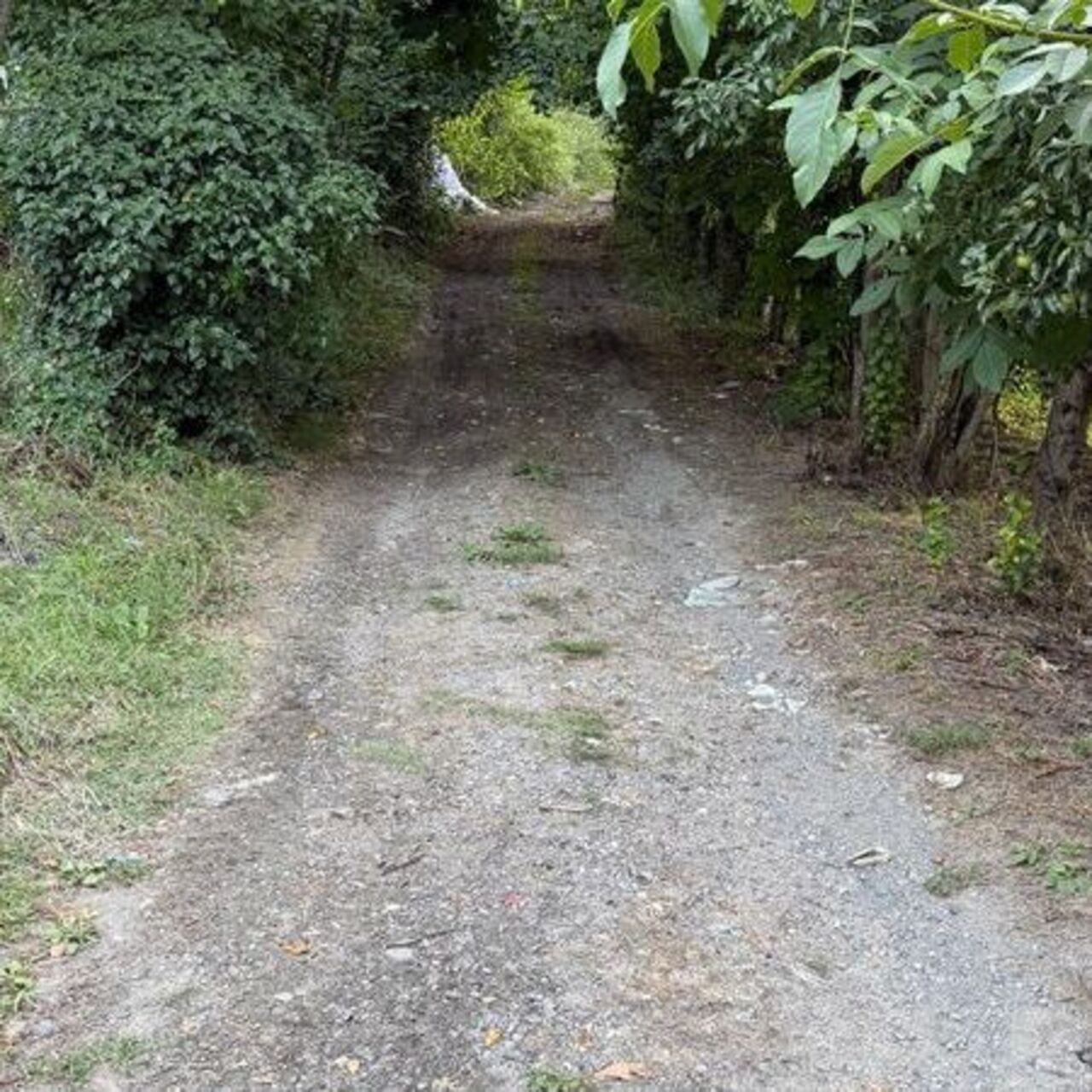 "Kaptaş İpek Yolu" 60 yıl sonra yeniden açılıyor haber görseli
