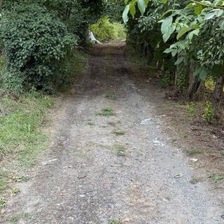 "Kaptaş İpek Yolu" 60 yıl sonra yeniden açılıyor