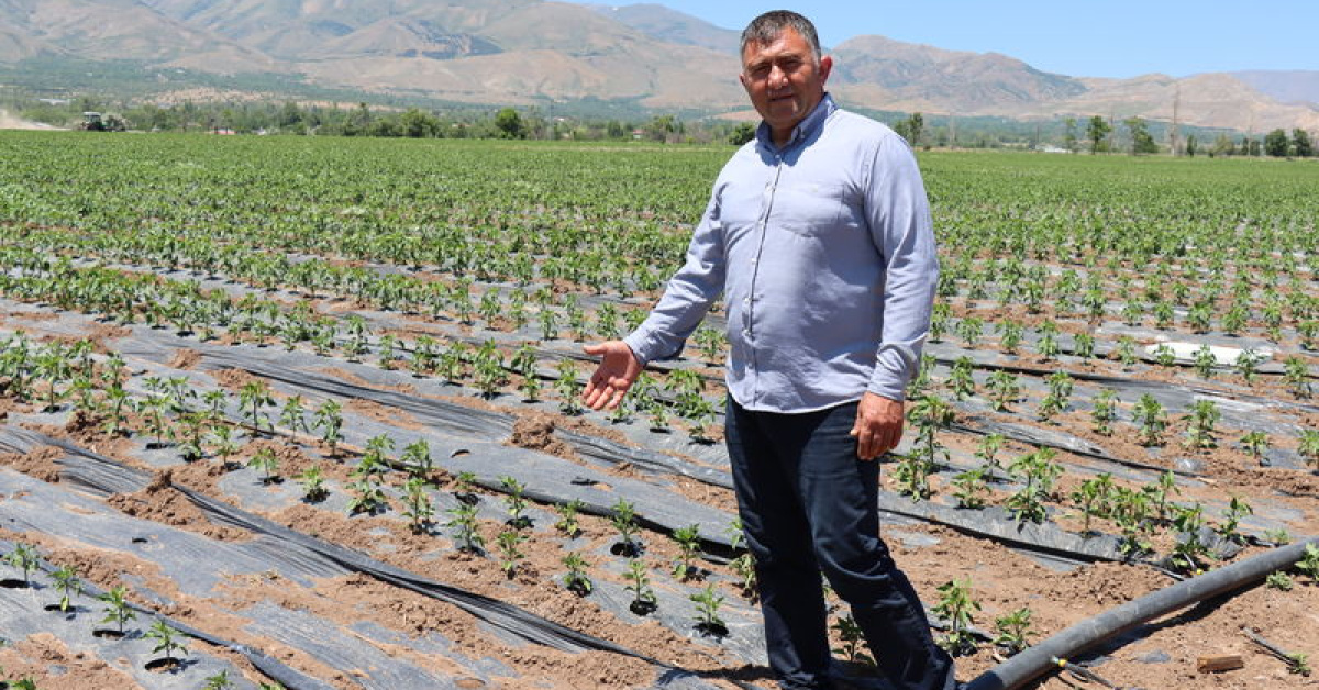 Üreticiden "plastik malç uygulaması" önerisi