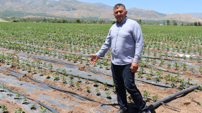 Üreticiden "plastik malç uygulaması" önerisi