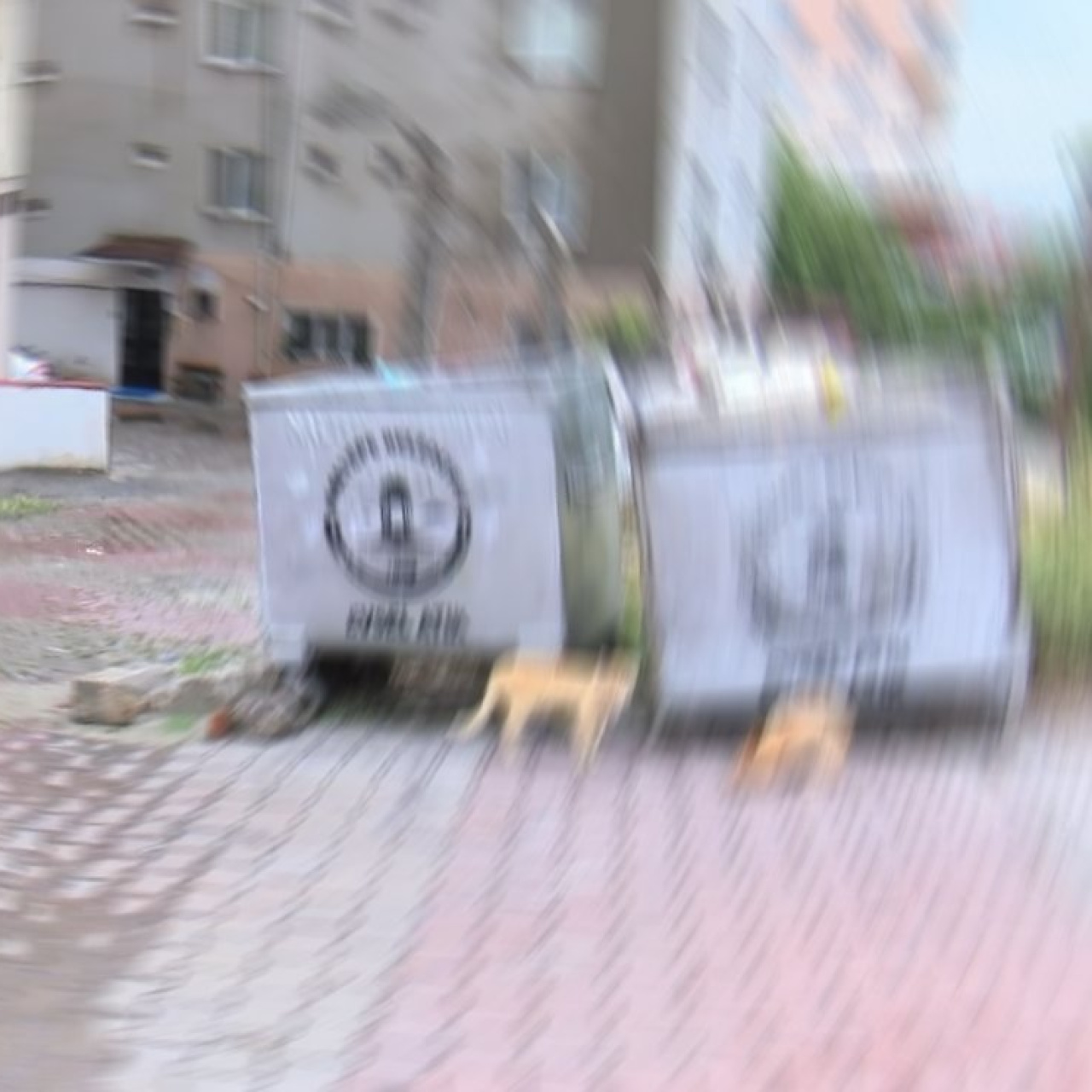 Dehşet! Bebeğini çöp konteynerine bıraktı!