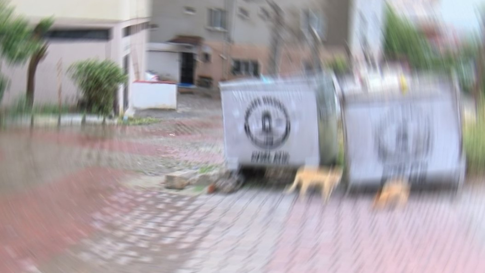 Dehşet! Bebeğini çöp konteynerine bıraktı!