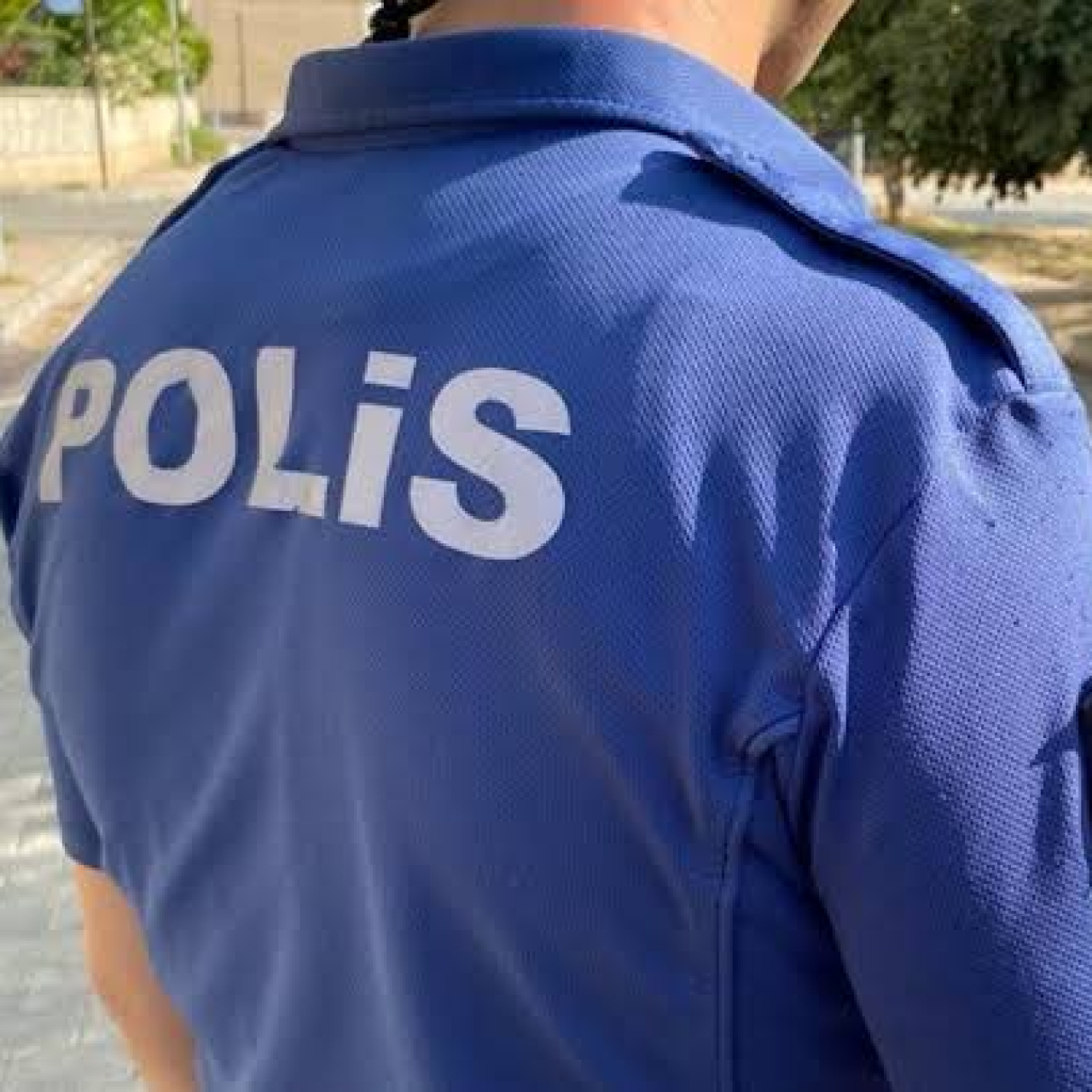 PMYO başvuru takvimi haber görseli