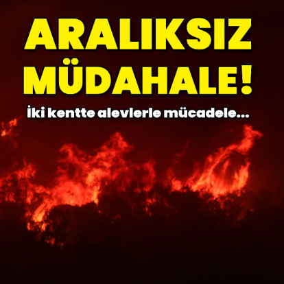 Türkiye orman yangınlarıyla mücadele ediyor!