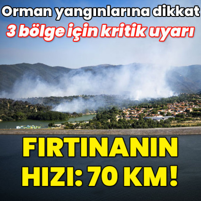 Orman yangınlarına dikkat... 3 bölgede fırtınanın hızı 70 km!