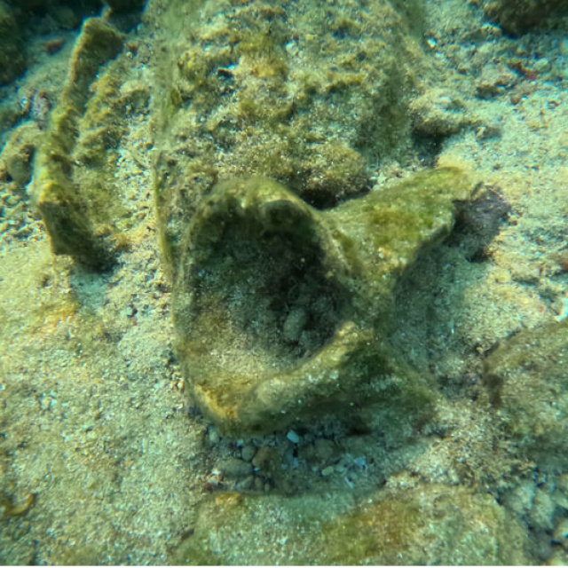 Muğla'da çocuk dalışta keşfetti