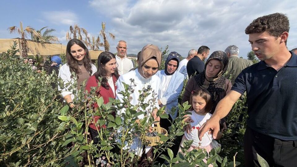 Çocuklarla yaban mersini topladı