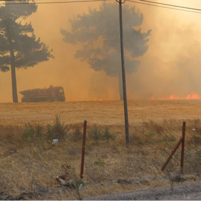 Çanakkale'de orman yangını çıktı!