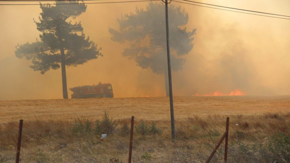 Çanakkale'de orman yangını çıktı!