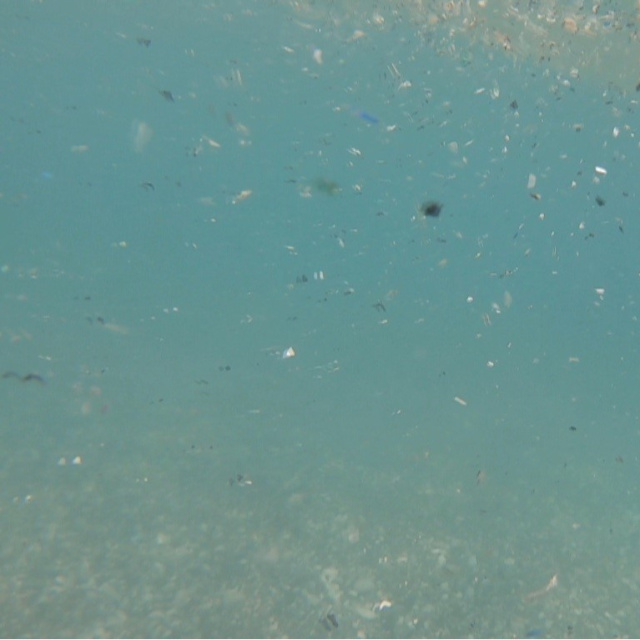 Antalya'da mikroplastik alarmı!