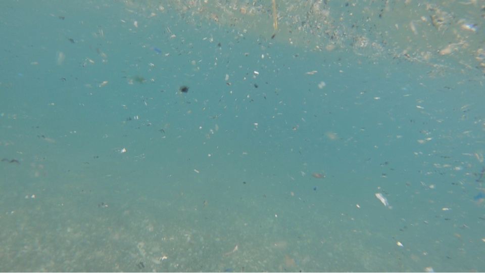 Antalya'da mikroplastik alarmı!