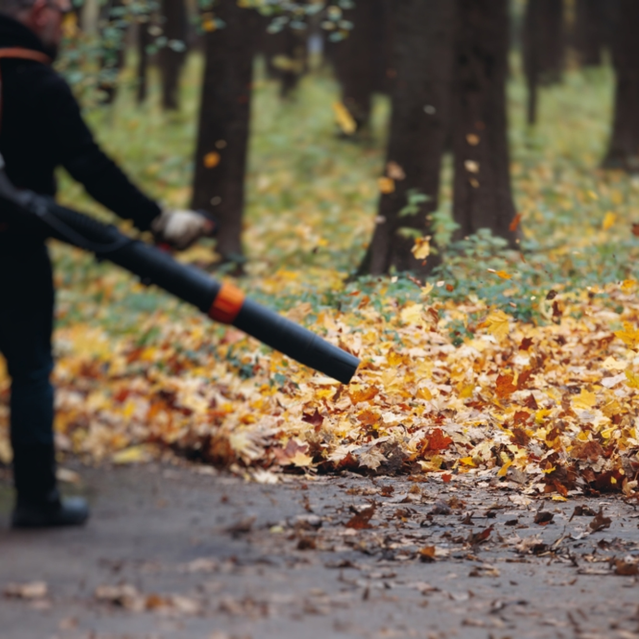 Florida'da baba yaprak üfleme makinesiyle bebeğinin ölümüne neden oldu
