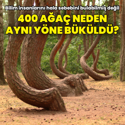 Bu manzara mantık sınırlarını zorluyor!