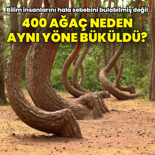 Bu manzara mantık sınırlarını zorluyor!