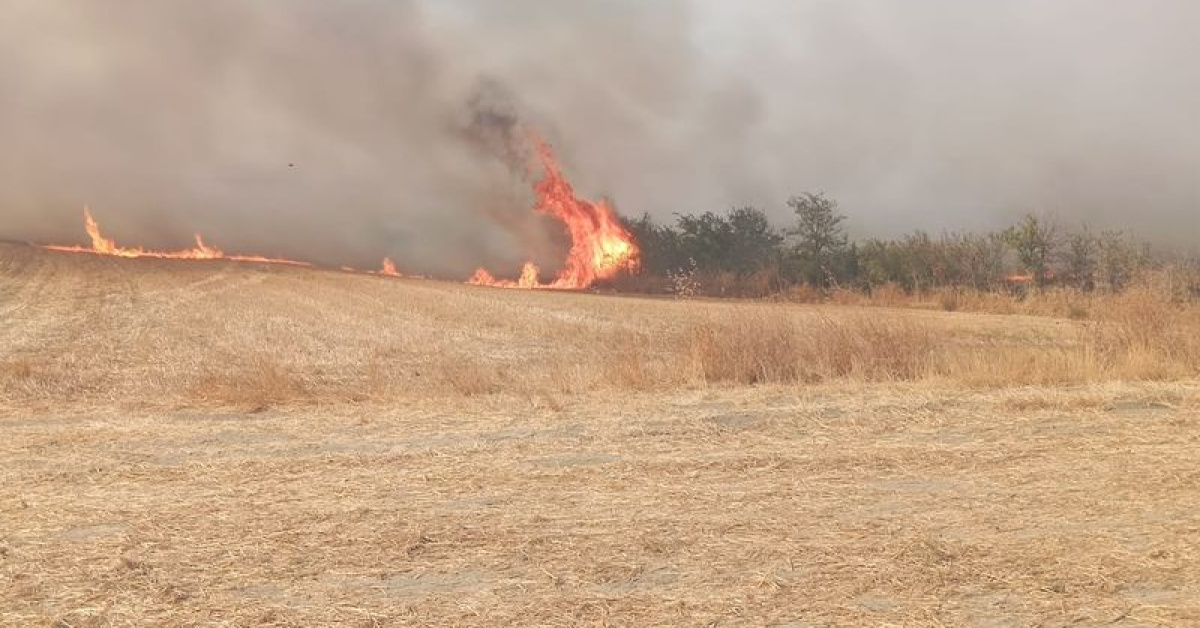 Edirne'de 2 bin 67 dekar tarım alanı zarar gördü