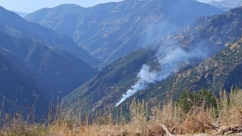 Tunceli Munzur Vadisi'nde yangın
