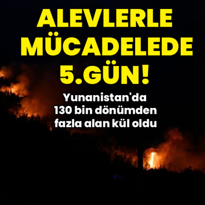Yunanistan'da orman yangınlarıyla mücadele!