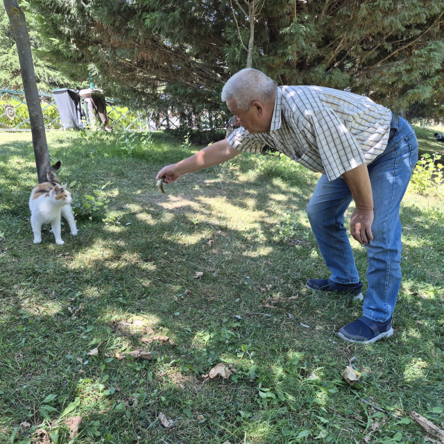 Akıllı sokak kedisi balık tutan adamın başından ayrılmadı