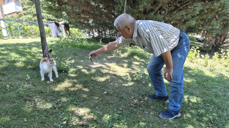 Akıllı kedi, balık tutan adamın başından ayrılmadı