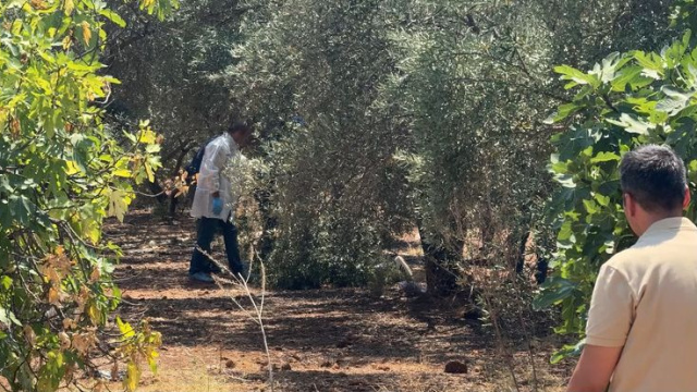 Elleri arkadan bağlı ölü bulundu!