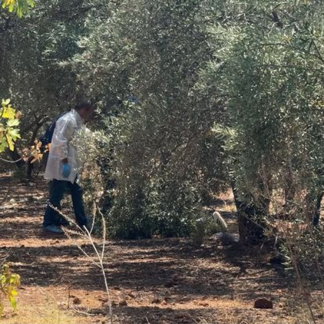 Elleri arkadan bağlı ölü bulundu!