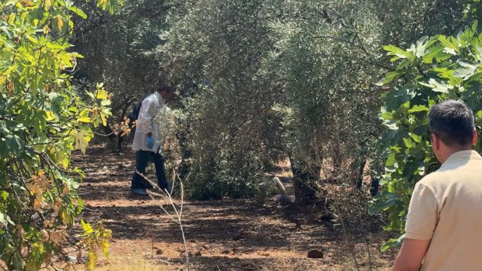Elleri arkadan bağlı ölü bulundu!