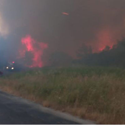 Çanakkale'de orman yangını