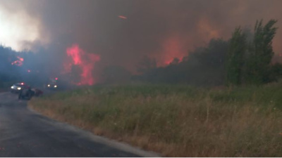 Çanakkale'de orman yangını